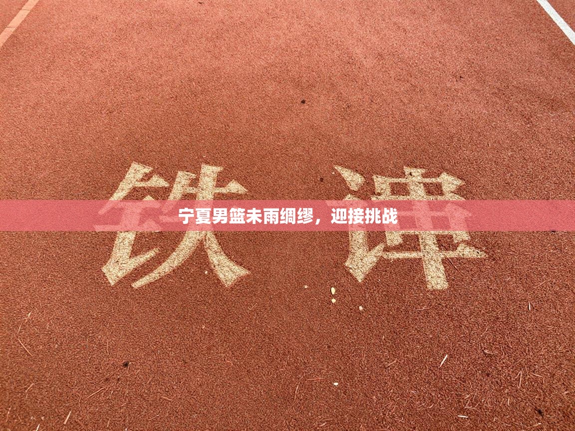 宁夏男篮未雨绸缪，迎接挑战  第1张