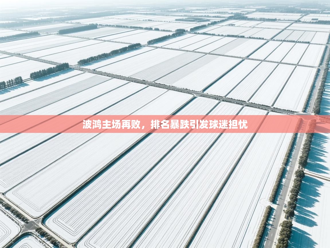 波鸿主场再败，排名暴跌引发球迷担忧  第1张