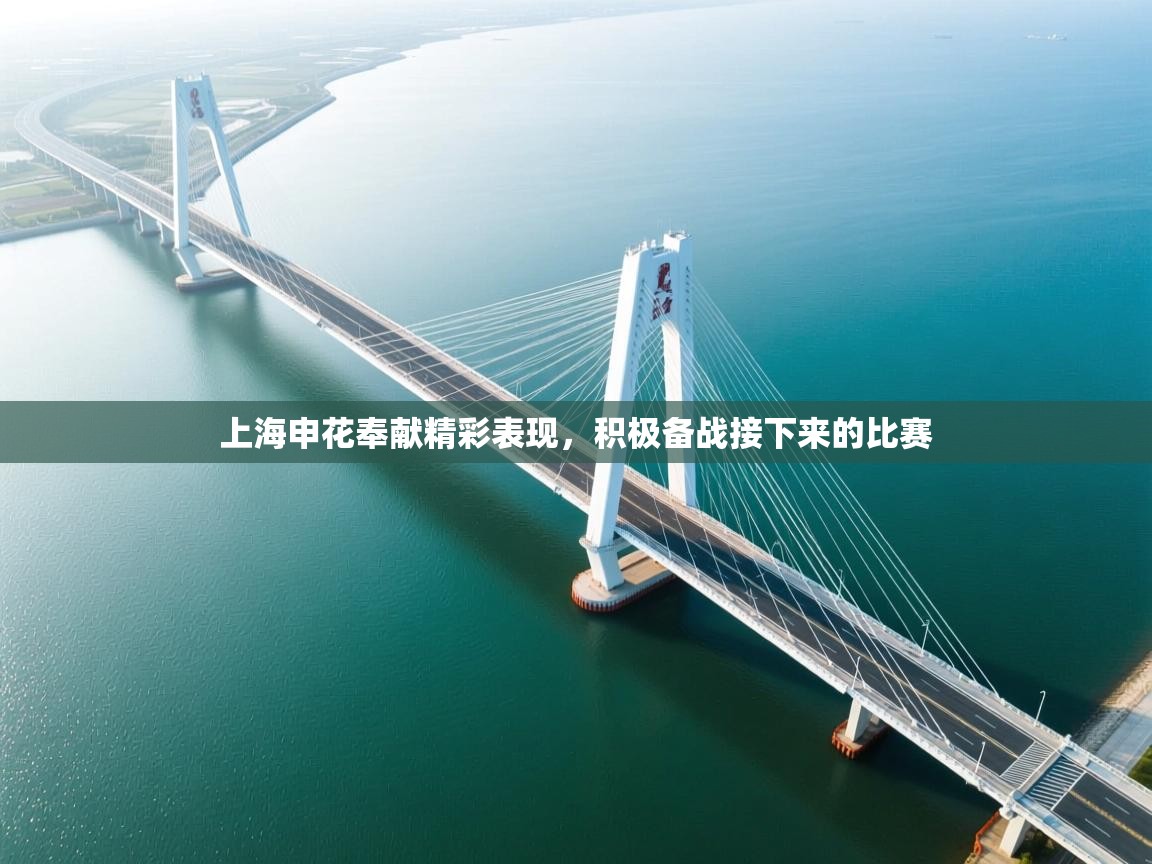 上海申花奉献精彩表现，积极备战接下来的比赛  第1张