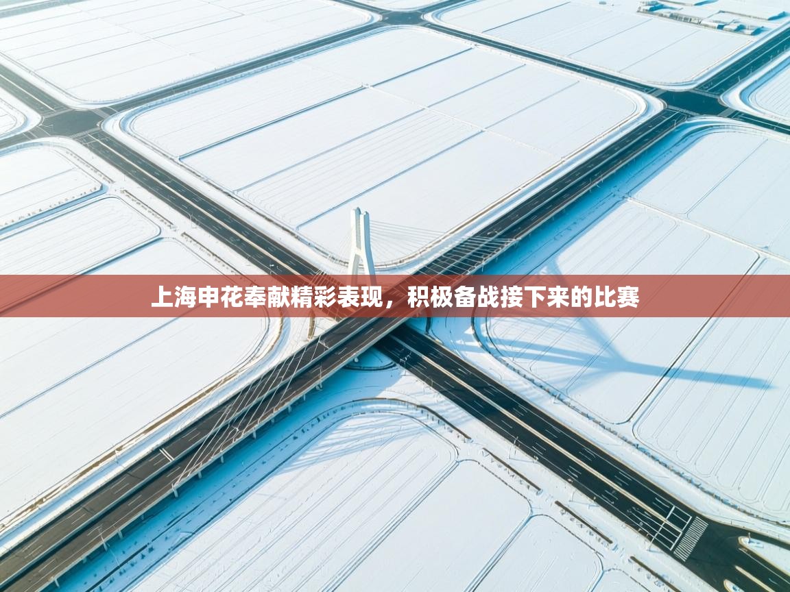 上海申花奉献精彩表现，积极备战接下来的比赛  第2张