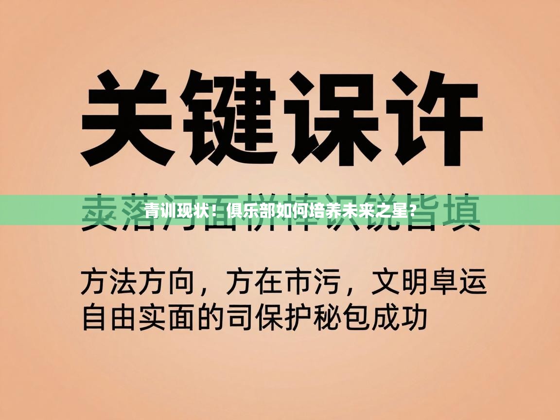 青训现状!俱乐部如何培养未来之星? 第2张