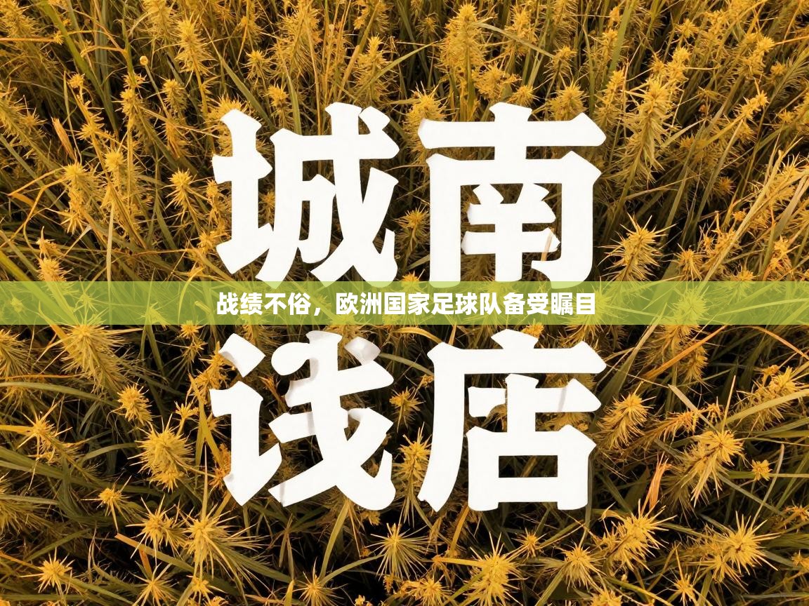 战绩不俗，欧洲国家足球队备受瞩目  第1张