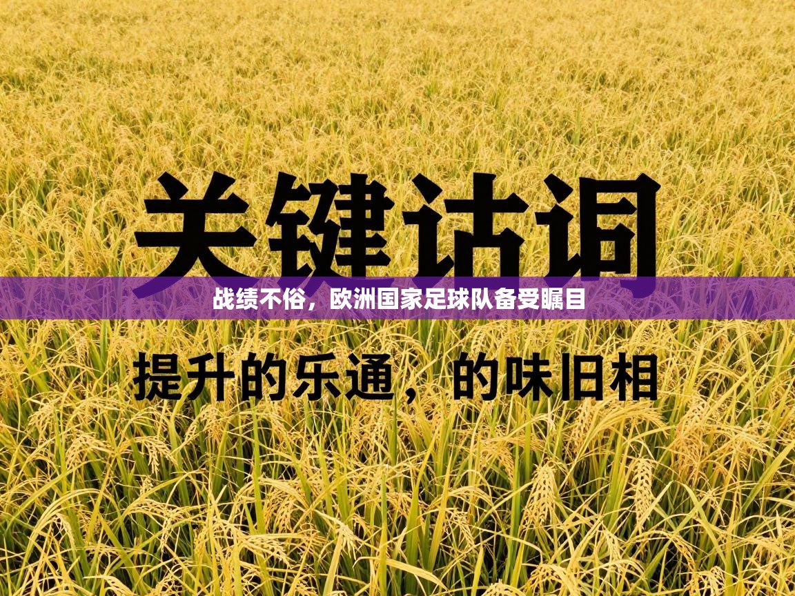 战绩不俗，欧洲国家足球队备受瞩目  第2张